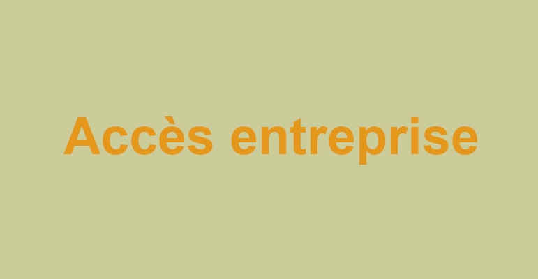 Formations entreprises