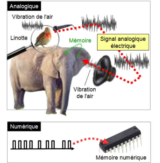 Analogique. Numrique. Mmorisations 