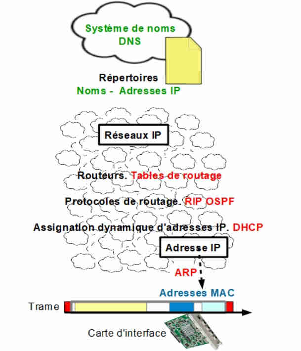 Adresses interfaces, IP, DNS, Courrier