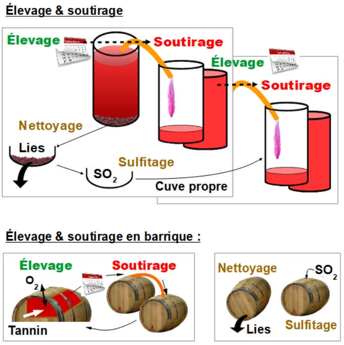 levage & soutirage