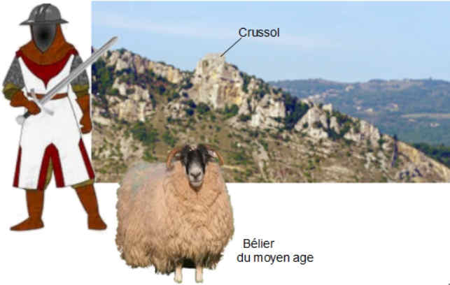 Chteau de Crussol est un symbole de Valence 