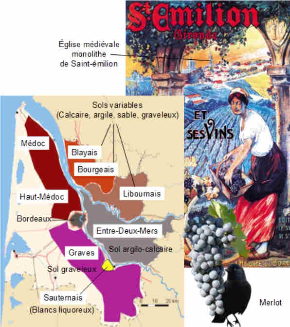 Appellations, Vins et Vignoble de Bordeaux